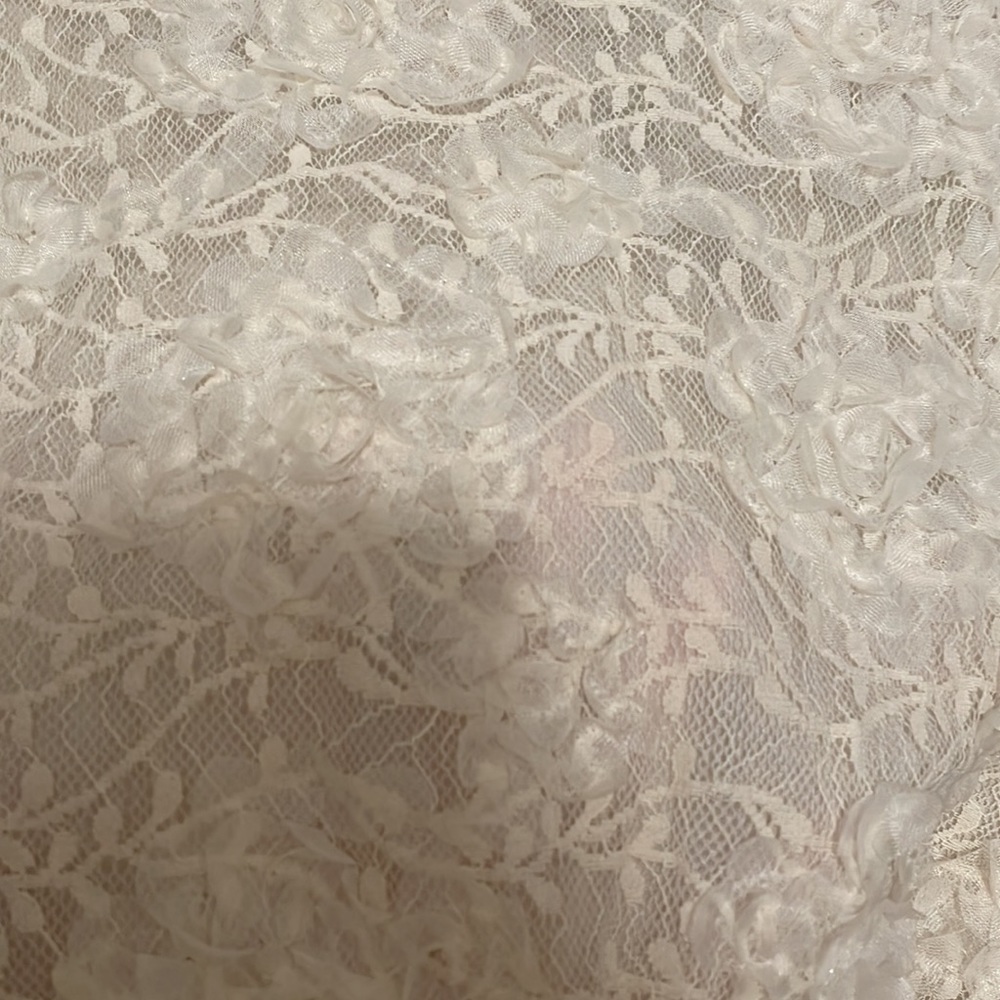 NWT Zara Organza Lace Shirt - Picture 6 of 11